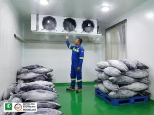 Pedagang Ikan di Pasar Bandar Lampung, Tetap Semangat Jualan di Tengah Tantangan